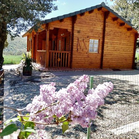 Вілла La Casa Del Estanque Olocau del Rey Екстер'єр фото