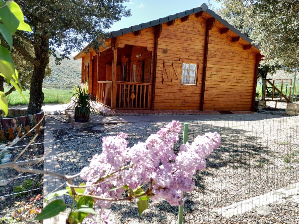 Вілла La Casa Del Estanque Olocau del Rey Екстер'єр фото