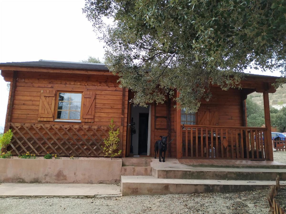 Вілла La Casa Del Estanque Olocau del Rey Екстер'єр фото